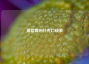 德信德州扑克口诀表