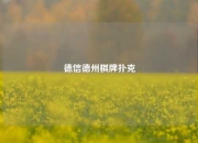 德信德州棋牌扑克