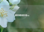 德信德州扑克tag