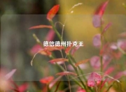 德信德州扑克王