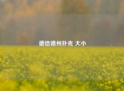 德信德州扑克 大小