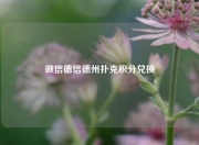 微信德信德州扑克积分兑换