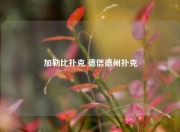 加勒比扑克 德信德州扑克