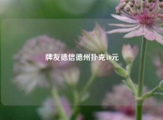 牌友德信德州扑克10元