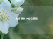 德信德州扑克在线玩