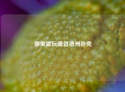 哪里能玩德信德州扑克