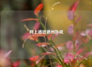网上德信德州扑克