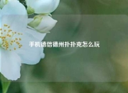手机德信德州扑扑克怎么玩