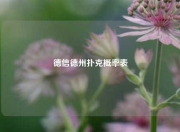 德信德州扑克概率表