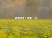 德信德州扑克水上2手