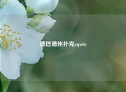 德信德州扑克equity