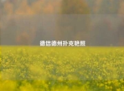 德信德州扑克艳照
