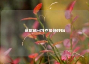 德信德州扑克能赚钱吗