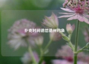 扑克时间德信德州钓鱼