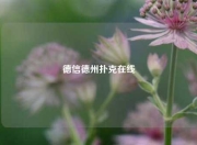 德信德州扑克在线