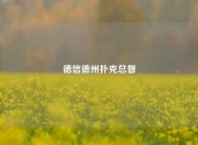 德信德州扑克总督