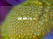 德信德州扑克 72o