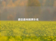 德信德州棋牌扑克
