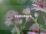 手机德信德州扑克
