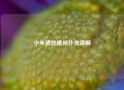 小米德信德州扑克讲解