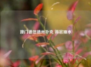 澳门德信德州扑克 荷官抽水