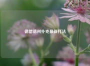德信德州扑克最新打法