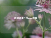 德信德州扑克down视频