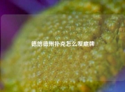 德信德州扑克怎么发底牌