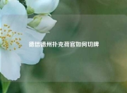 德信德州扑克荷官如何切牌