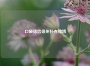 口袋德信德州扑克赌博
