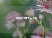 德信德州扑克人人版