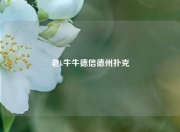 老k牛牛德信德州扑克
