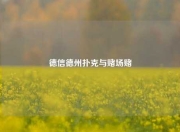 德信德州扑克与赌场赌