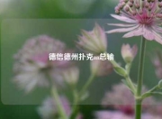 德信德州扑克aa总输