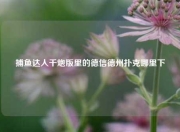 捕鱼达人千炮版里的德信德州扑克哪里下