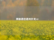 博雅德信德州扑克4.0