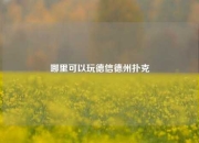 哪里可以玩德信德州扑克