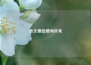 地主德信德州扑克
