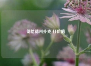德信德州扑克 打价值