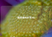 德信德州扑克SNG