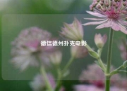 德信德州扑克电影