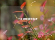 小米德信德州扑克