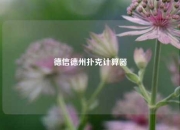 德信德州扑克计算器