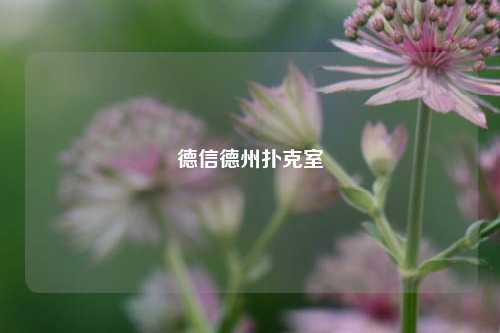 德信德州扑克室