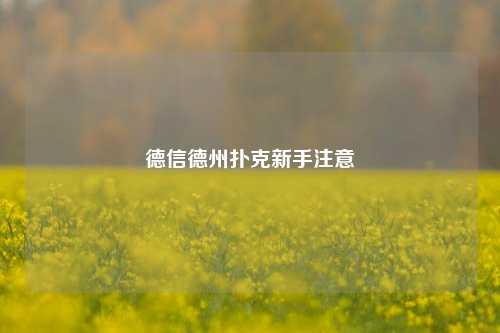 德信德州扑克新手注意