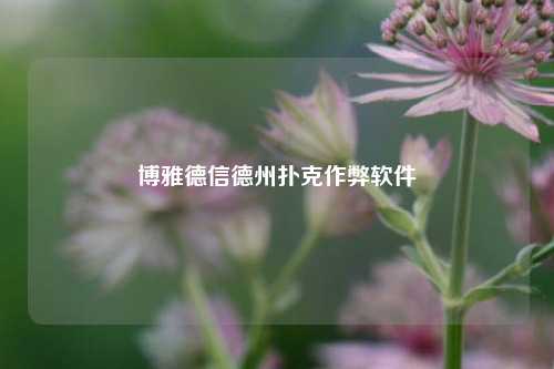 博雅德信德州扑克作弊软件