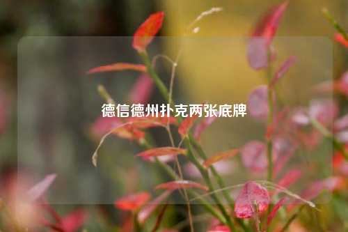 德信德州扑克两张底牌