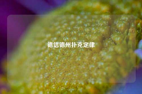德信德州扑克定律