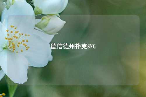 德信德州扑克SNG