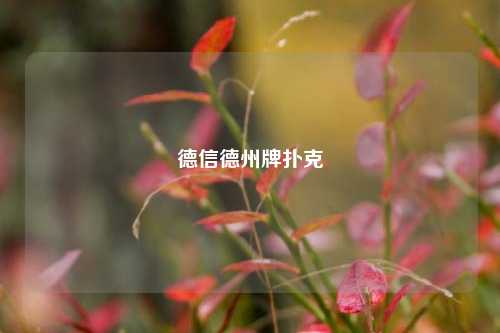 德信德州牌扑克